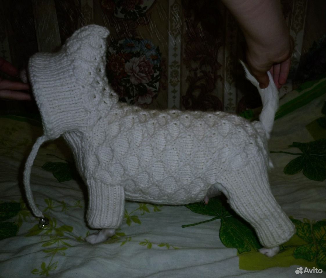 Вяжем кошкам и собакам Вяжем кошкам и собакам