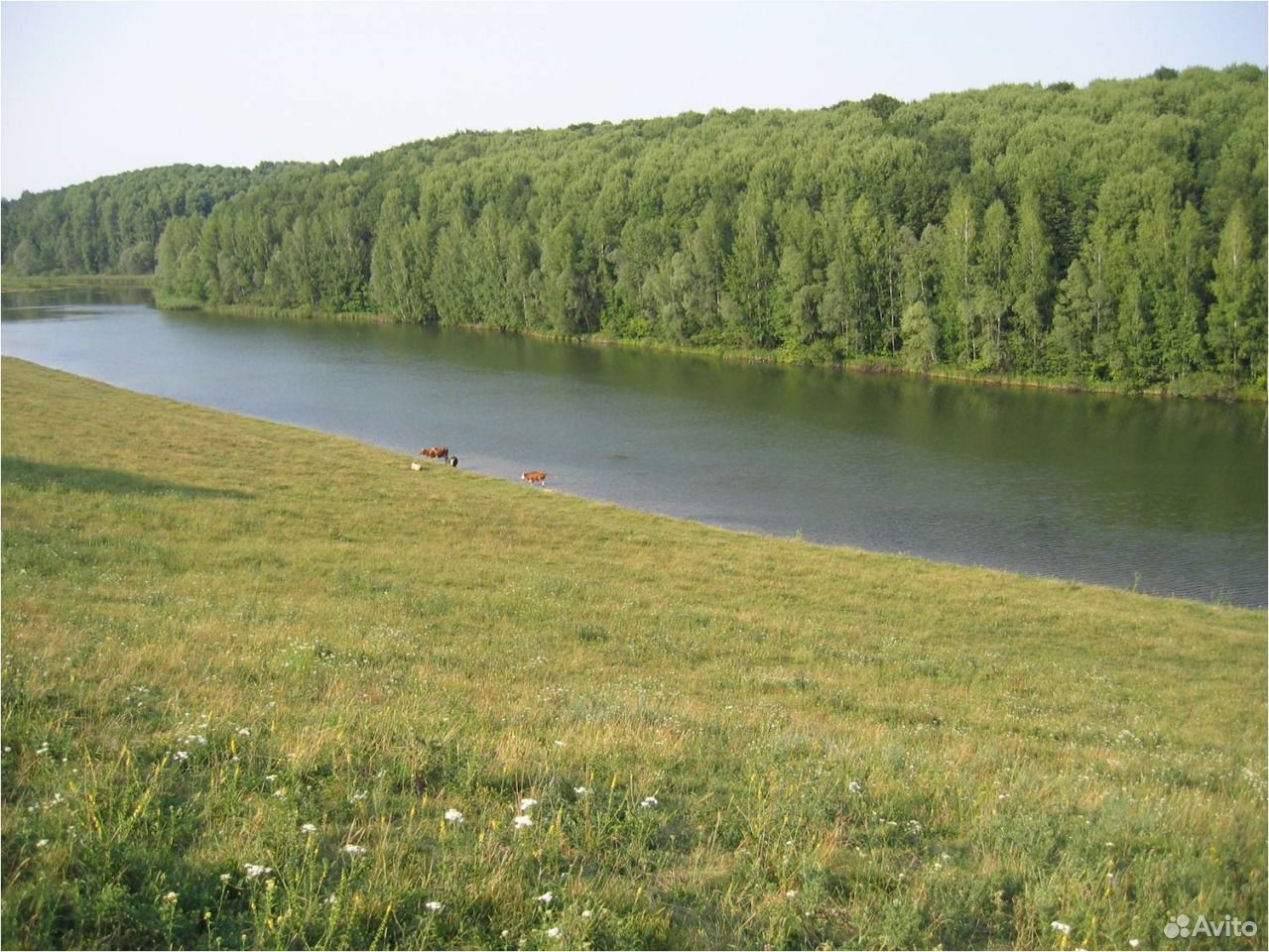 Купить Дом В Курской Области Обоянский Район