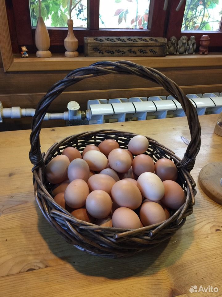 Яйцо куриное деревенское купить на Зозу.ру - фотография № 7