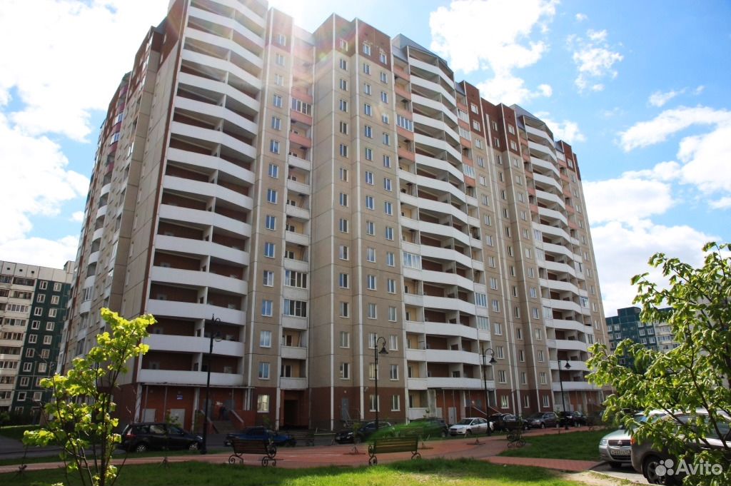 авито новое девяткино. авито новое девяткино. главная улица 58 новое девяткино. новое девяткино ул школьная д. авито новое девяткино.