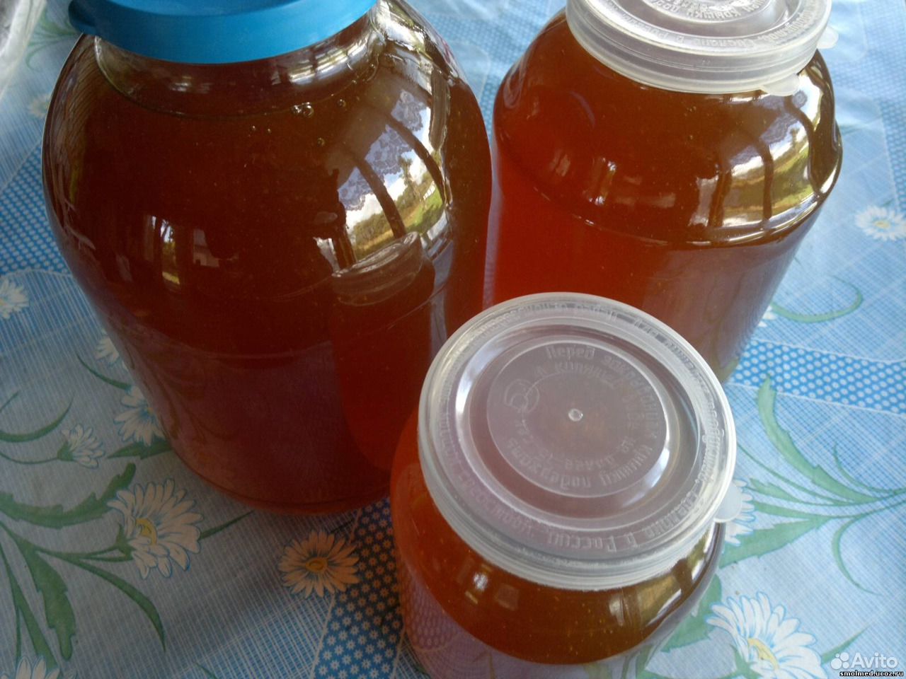 Продадим вкусный мед 2020 года купить на Зозу.ру - фотография № 1