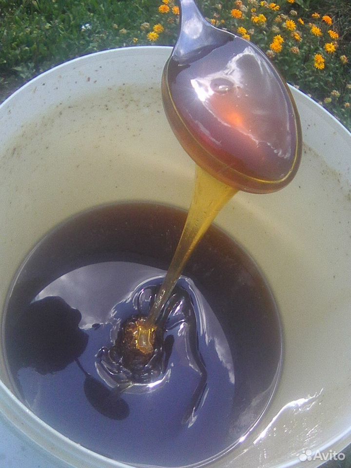Мёд липовый с разнотравьем купить на Зозу.ру - фотография № 3