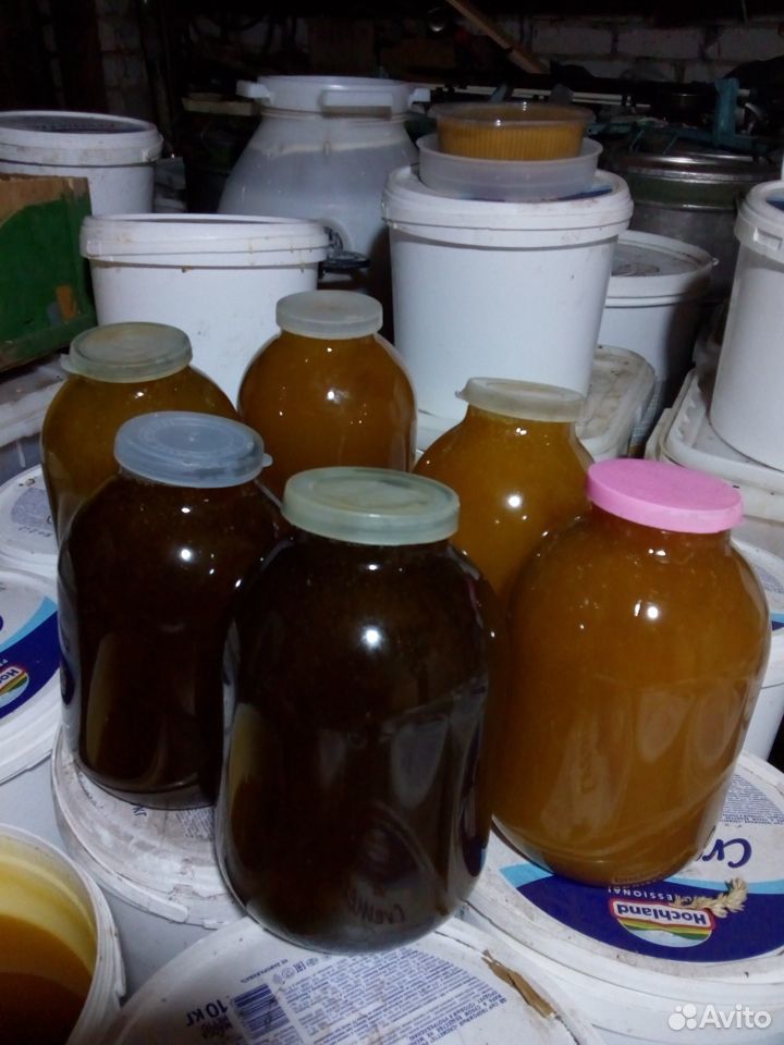 Мед и медовые рамки урожай 2020 оптом купить на Зозу.ру - фотография № 9
