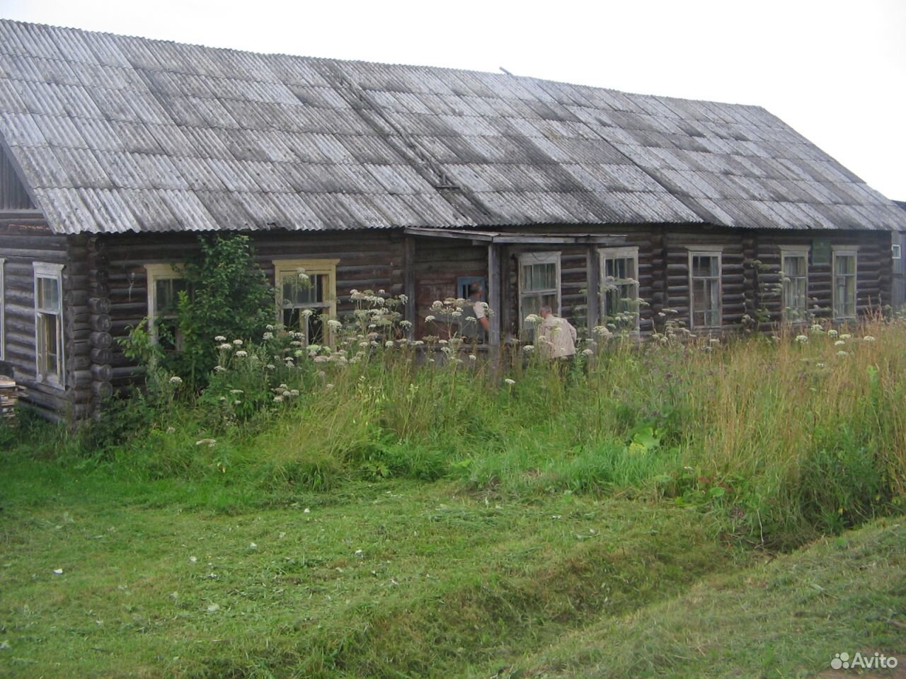 Чернеево вологодская область шекснинский. Шекснинский р он. Шекснинский р он. Шекснинский р он. Шекснинский р он.