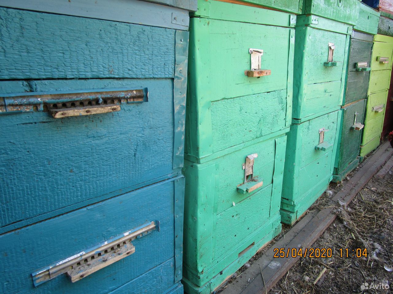 Пчелосемьи, пчелопакеты, ульи б/у купить на Зозу.ру - фотография № 2