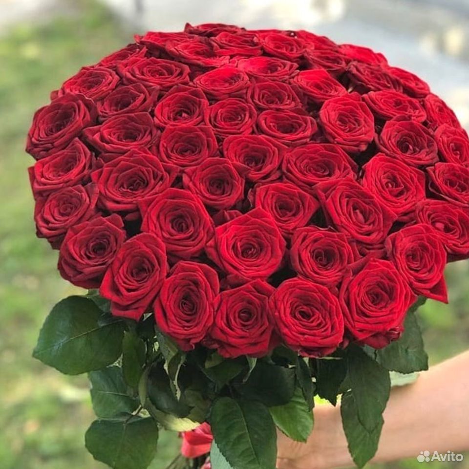 51 красная роза с Доставкой купить на Зозу.ру - фотография № 1