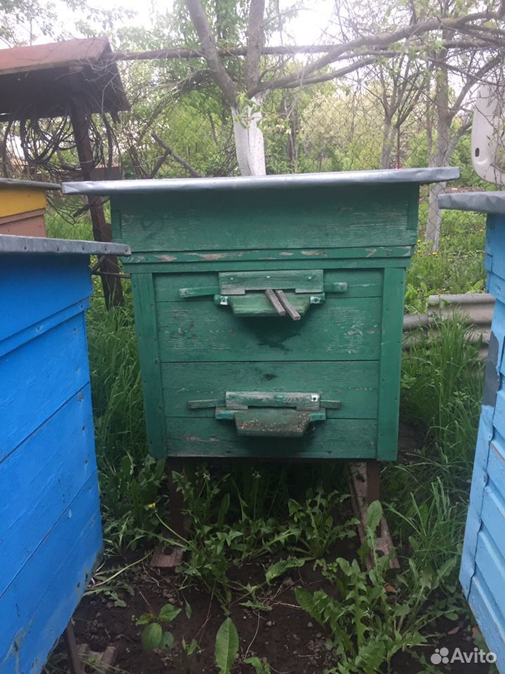 Пчелиные улья купить на Зозу.ру - фотография № 4