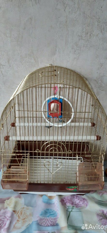 Клетка для попугаев купить на Зозу.ру - фотография № 1