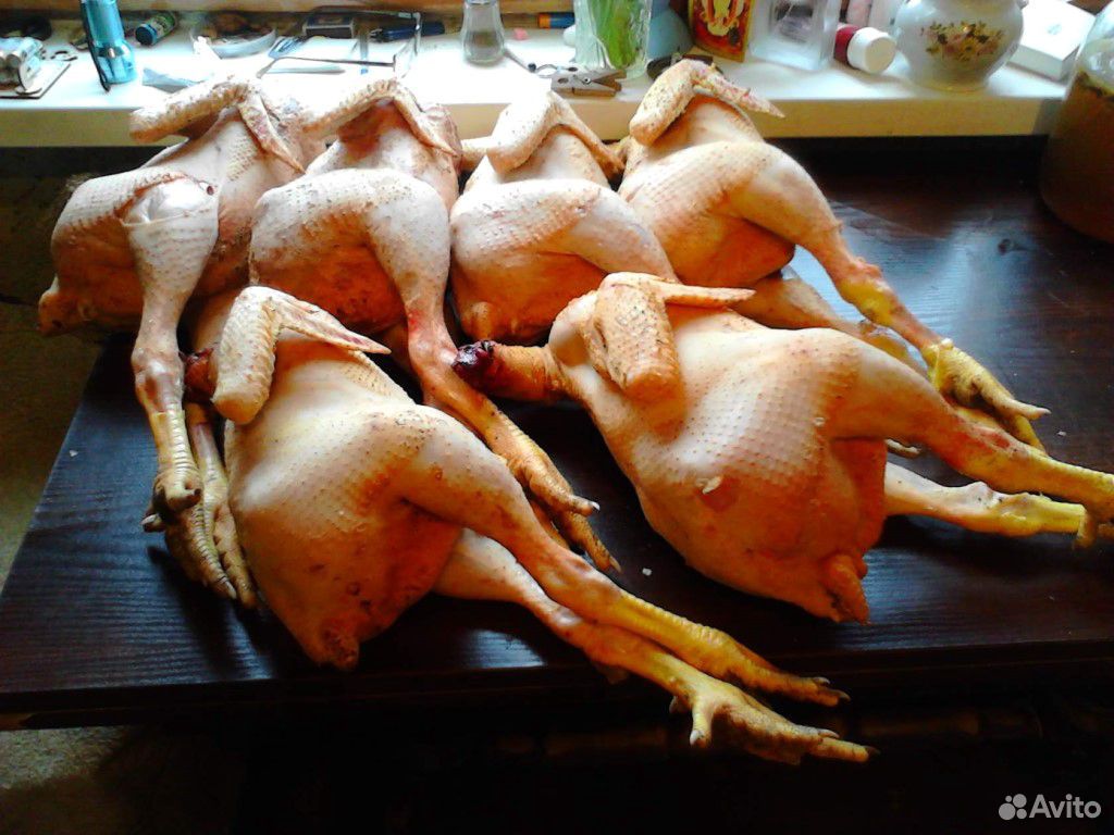 Домашняя курица купить на Зозу.ру - фотография № 2
