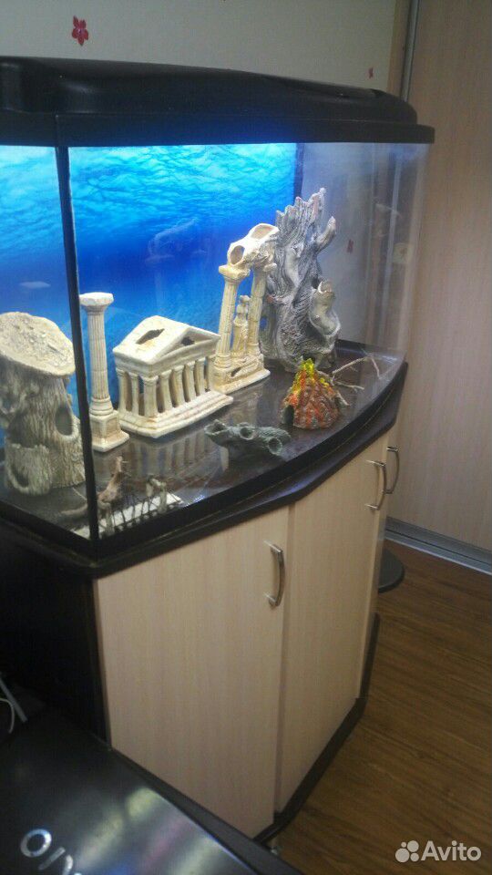 Панорамный аквариум 185л купить на Зозу.ру - фотография № 3