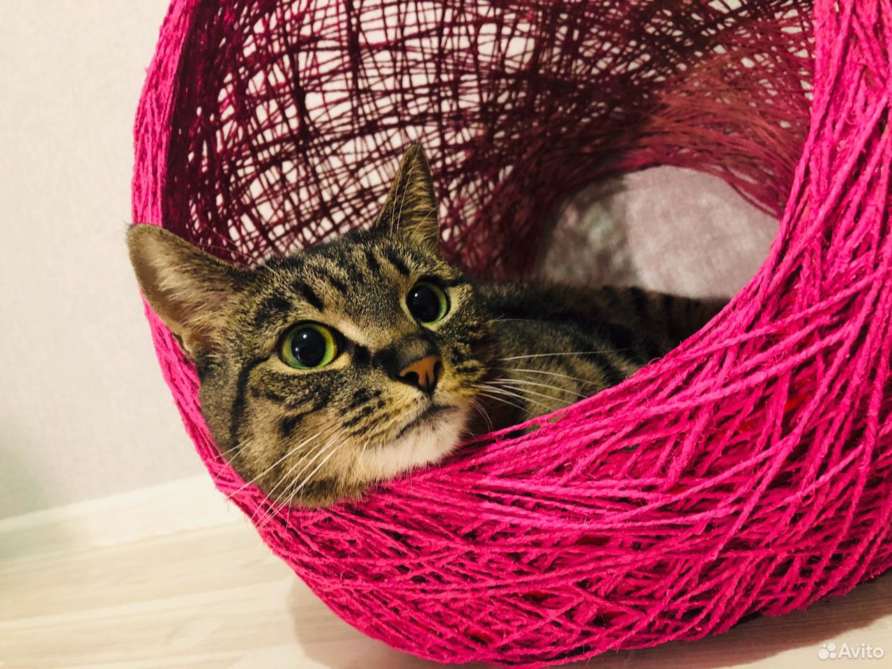 Catnest pink, домик для котейки купить на Зозу.ру - фотография № 1