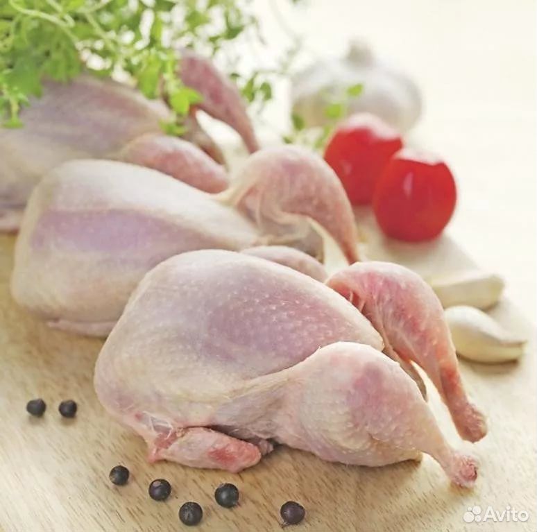 Домашняя Курица (утка, цыплята, цесарка, индейка) купить на Зозу.ру - фотография № 4