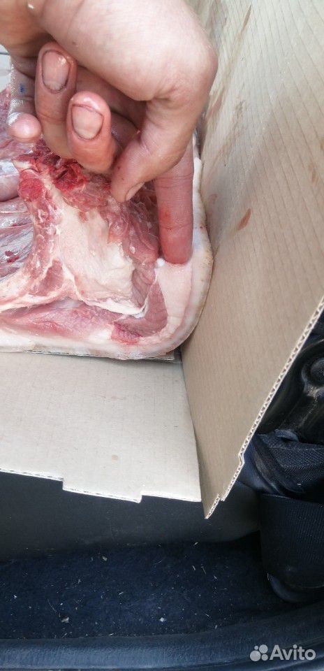 Мясо свинина домашняя купить на Зозу.ру - фотография № 2