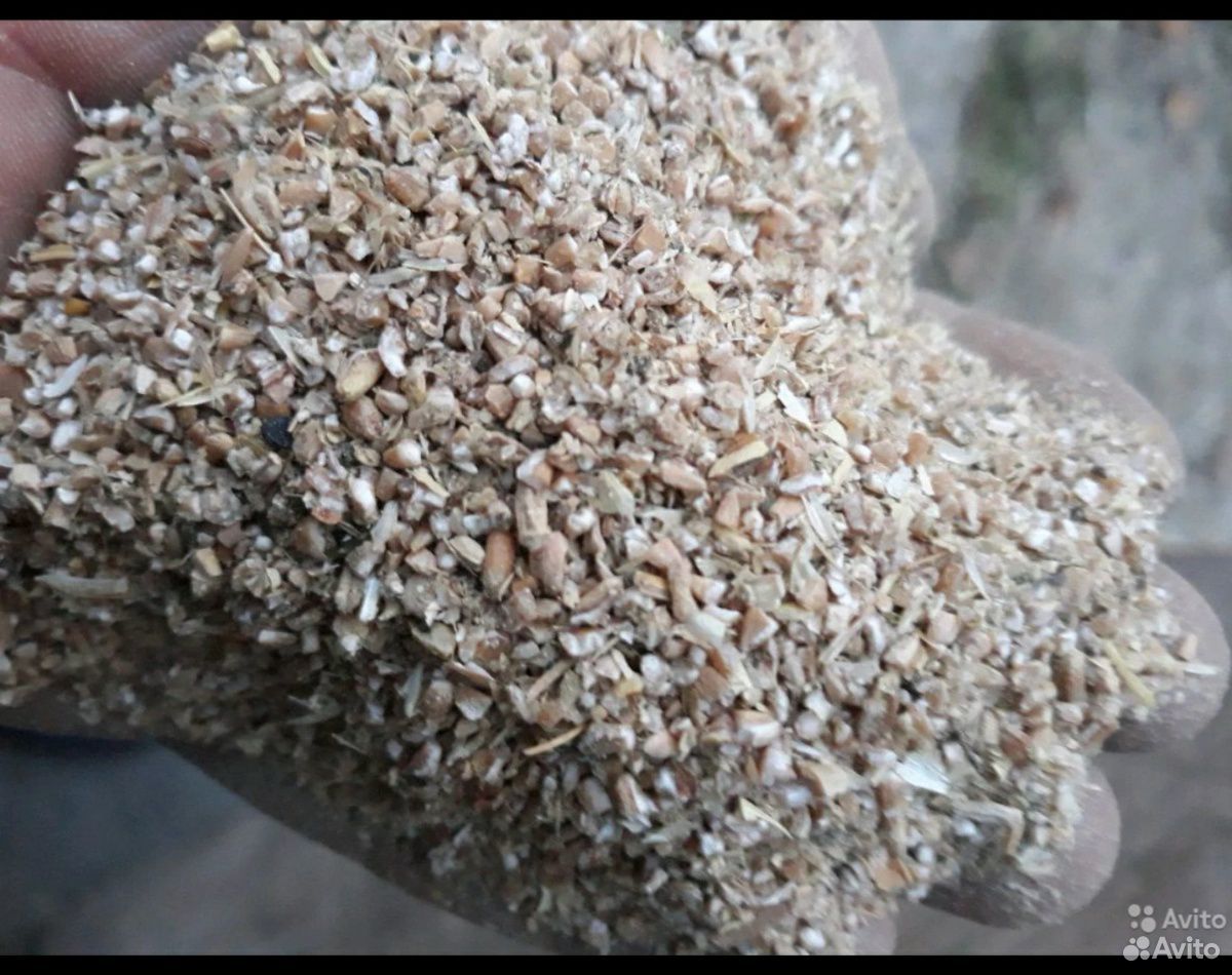 Отруби пшеничные купить на Зозу.ру - фотография № 3