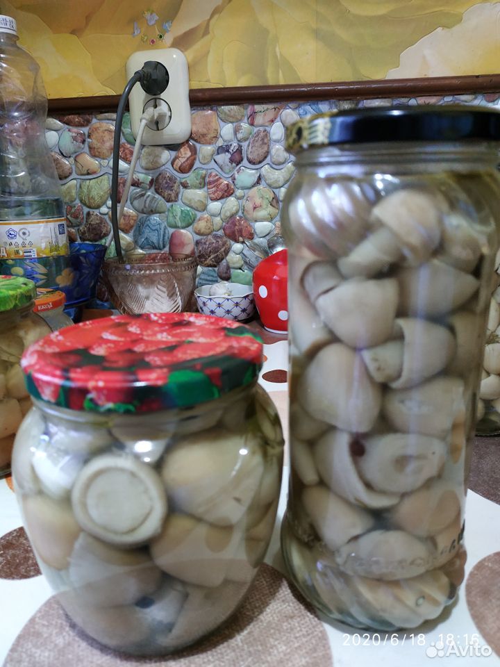 Маринованные грибы толкачики купить на Зозу.ру - фотография № 7