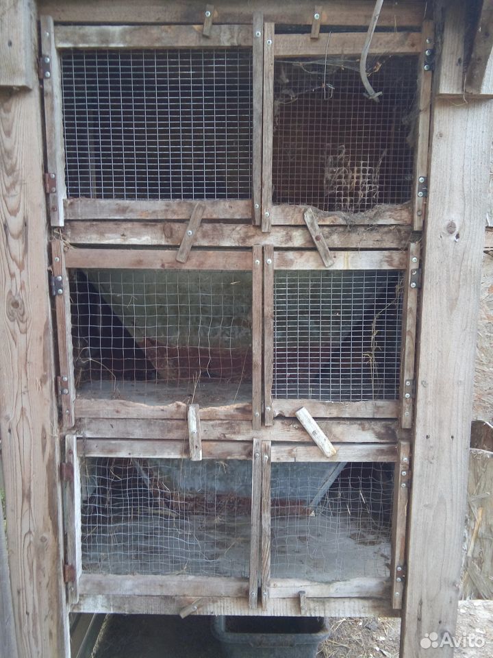 Клетка для кроликов из 6 отсеков купить на Зозу.ру - фотография № 2
