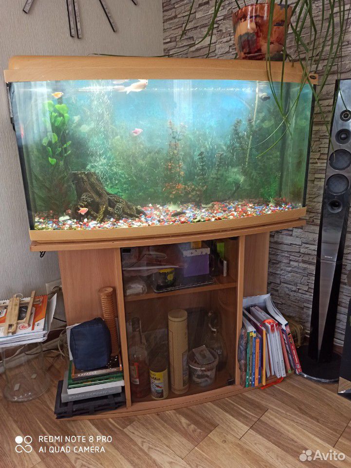 Продается аквариум на застекленной тумбе со всем о купить на Зозу.ру - фотография № 1