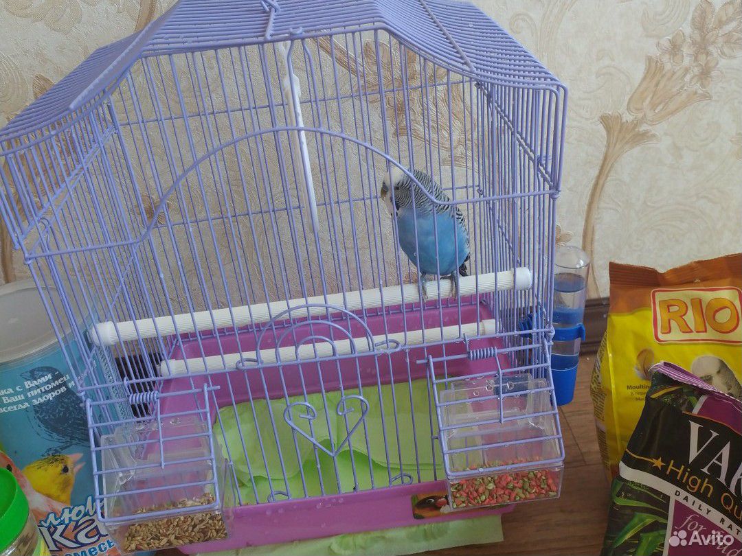 Клетка попугайчик купить на Зозу.ру - фотография № 9
