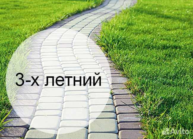 Партерный рулонный газон - мо купить на Зозу.ру - фотография № 1