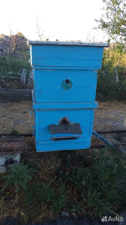 Пчелиные рамки суш купить на Зозу.ру - фотография № 1