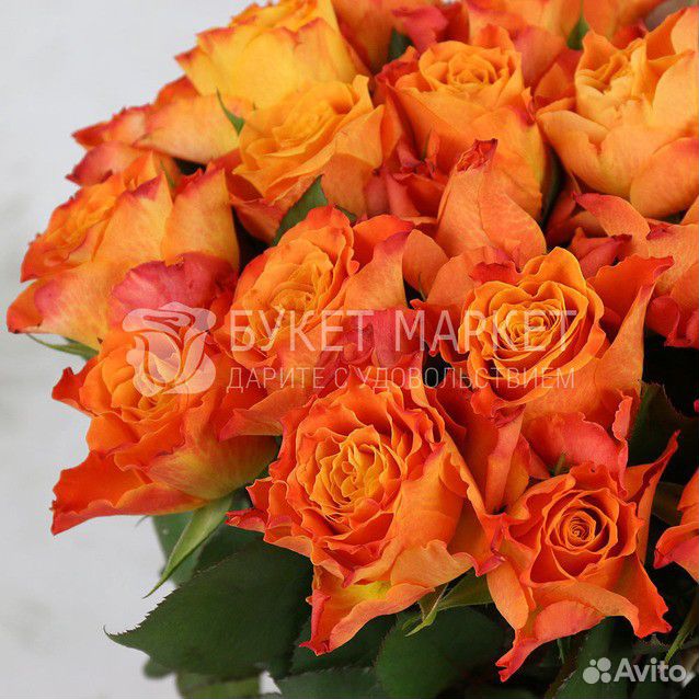 Букет из 25 оранжевых роз купить на Зозу.ру - фотография № 2