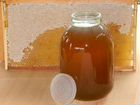 Мёд с домашней пасеки объявление продам