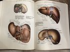Атлас по анатомии человека,2 том. Р.Д. Синельников объявление продам