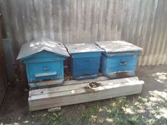 Улии для пчёл
