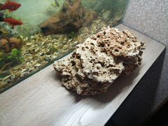 Украшение для аквариума коралловый камень