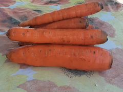 Продам морковь с домашнего огорода