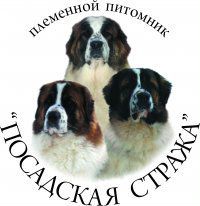Московская сторожевая щенки