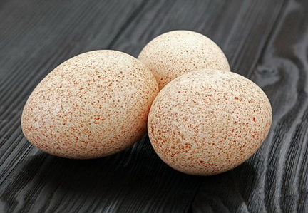 Яйца индюшинные для инкубации