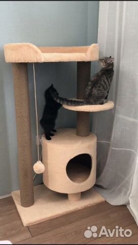 Домики для кошек,комплексы, когтеточки. Выс.1.1 м