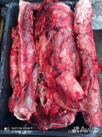 Мясо для собак