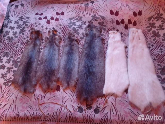 Шкурка животного