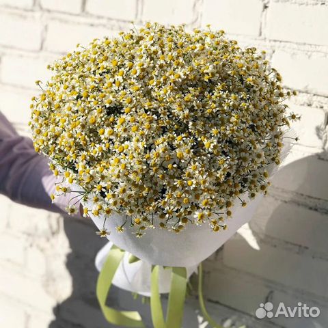 Букет из ромашек 11 21 31 41 51 101