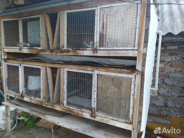 Клетки для кроликов и кур