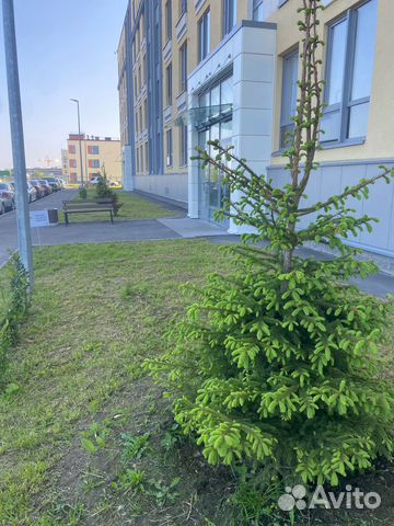

Квартира-студия, 24 м², 1 кровать