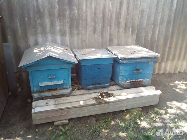Улии для пчёл купить на Зозу.ру - фотография № 1