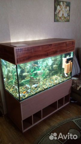 Продам аквариум 360 литров со всем содержимым