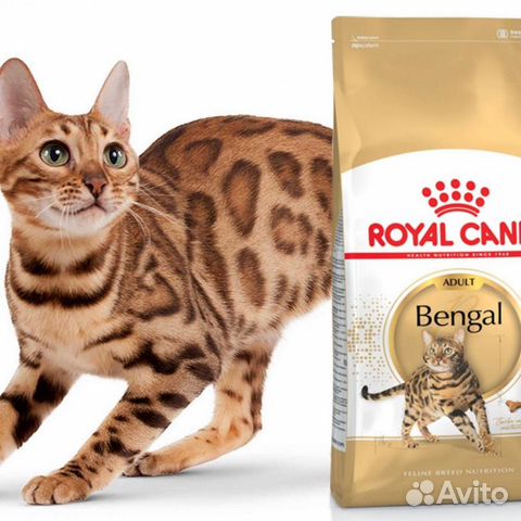 Породные корма royal canin для кошек Породные корма royal canin для кошек