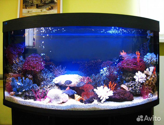 Продам аквариум 260 литров купить на Зозу.ру - фотография № 1