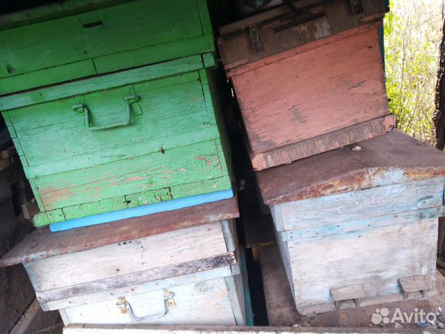 Пчело инвентарь купить на Зозу.ру - фотография № 4