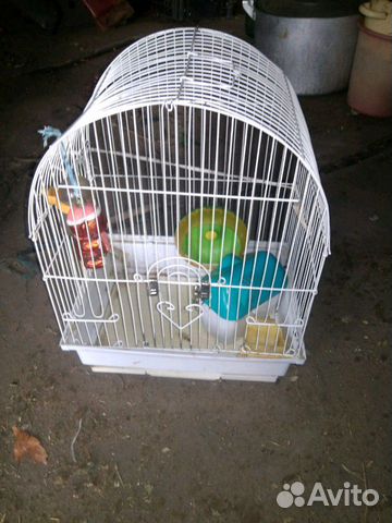 Клетка для попугаев или хомячка купить на Зозу.ру - фотография № 1