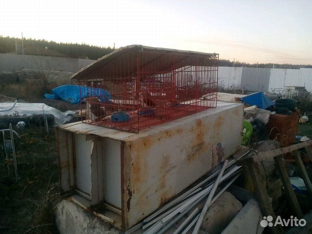 Клетки для кроликов Клетки для кроликов
