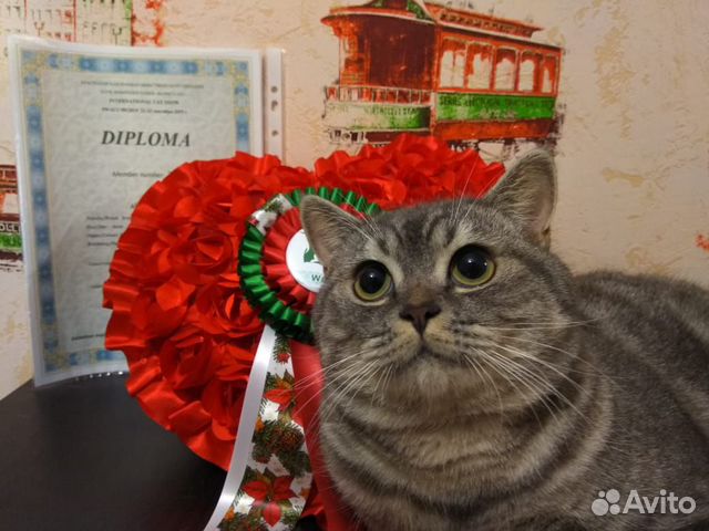 Вязка Вязка