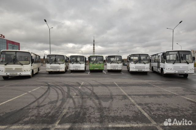 Развозка персонала. Аренда автобуса паз. Спб Лен.о Развозка персонала. Аренда автобуса паз. Спб Лен.о
