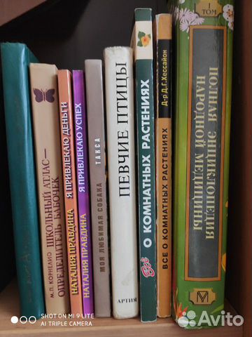 Книги Книги
