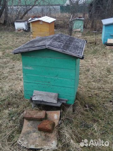 Улей,пчёлы купить на Зозу.ру - фотография № 1
