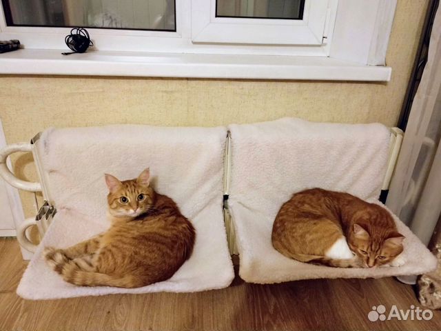 Гамак для кошек на радиатор